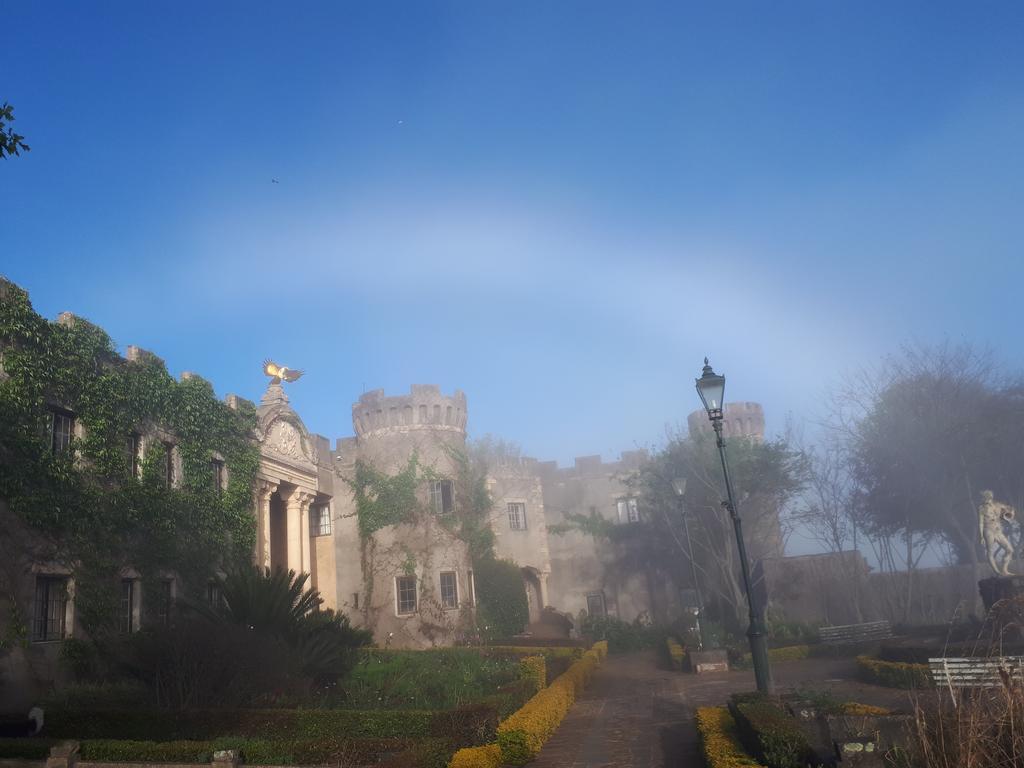 Flycatcher Castle جراسكوب المظهر الخارجي الصورة